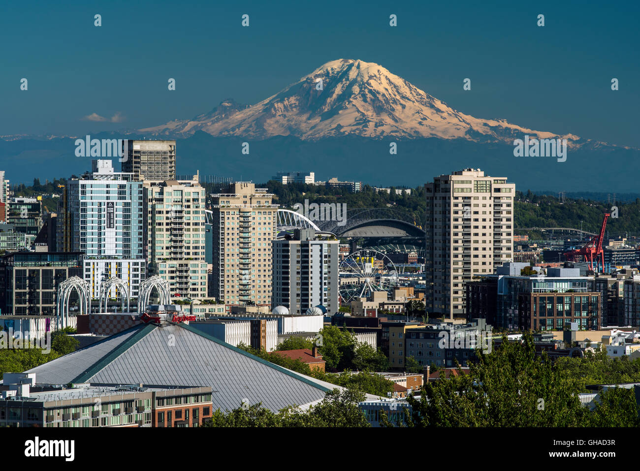 Skyline del centro con il Monte Rainier in background, Seattle, Washington, Stati Uniti d'America Foto Stock