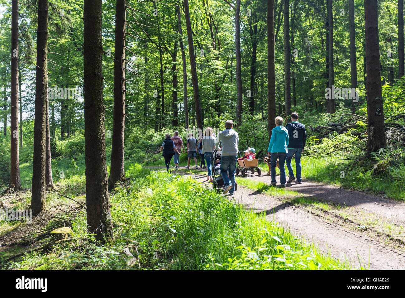 Famiglia a piedi in una foresta Foto Stock