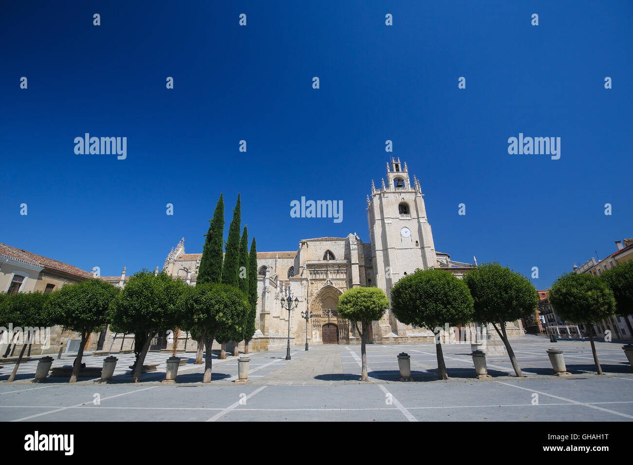 Palencia Cattedrale (Catedral de san Antolin), popolarmente conosciuta come la bellezza sconosciuta, a Palencia, una città della Castiglia e Leon, n. Foto Stock