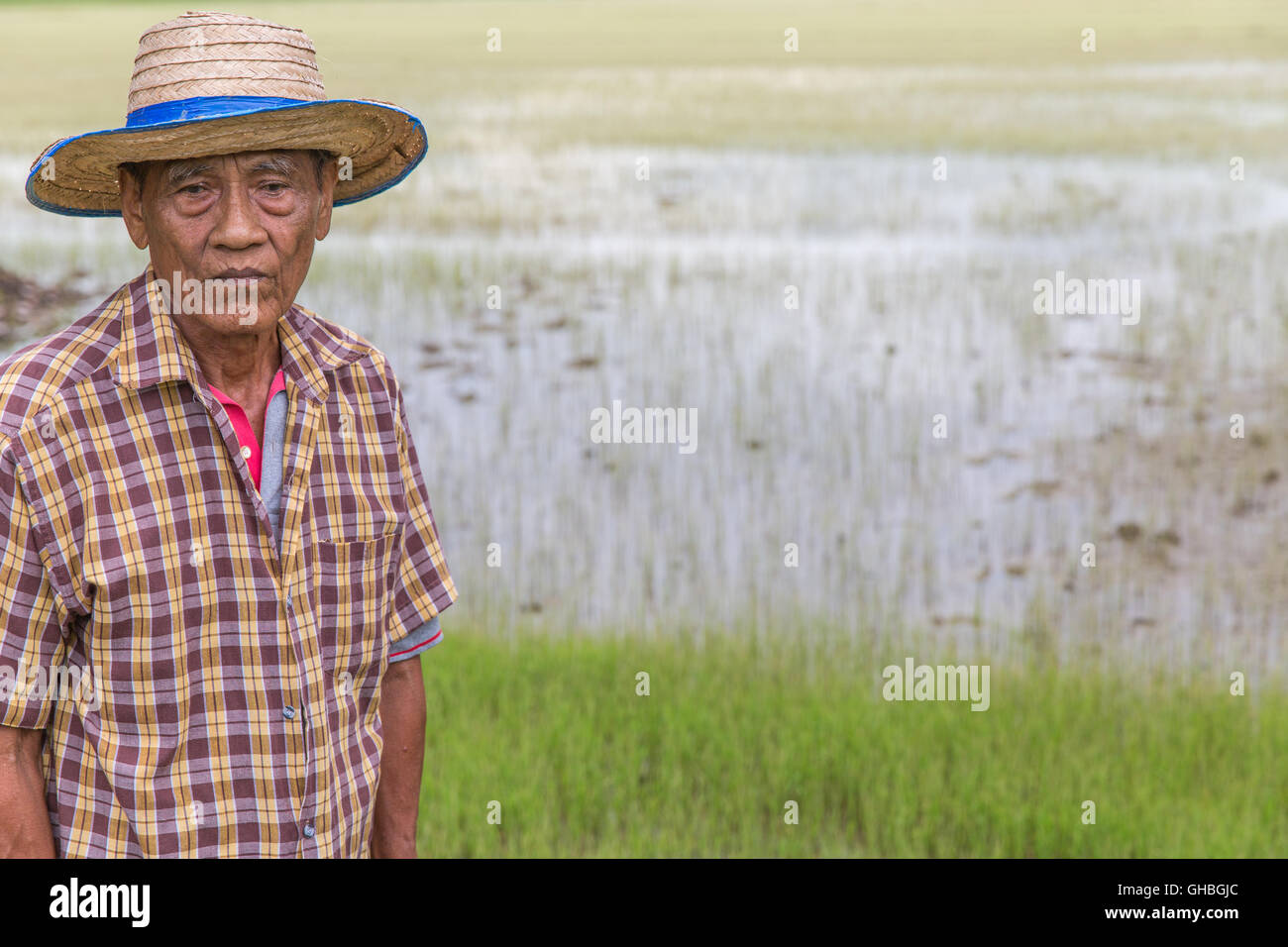 Senior riso tailandese agricoltore cercando stanco triste Foto Stock