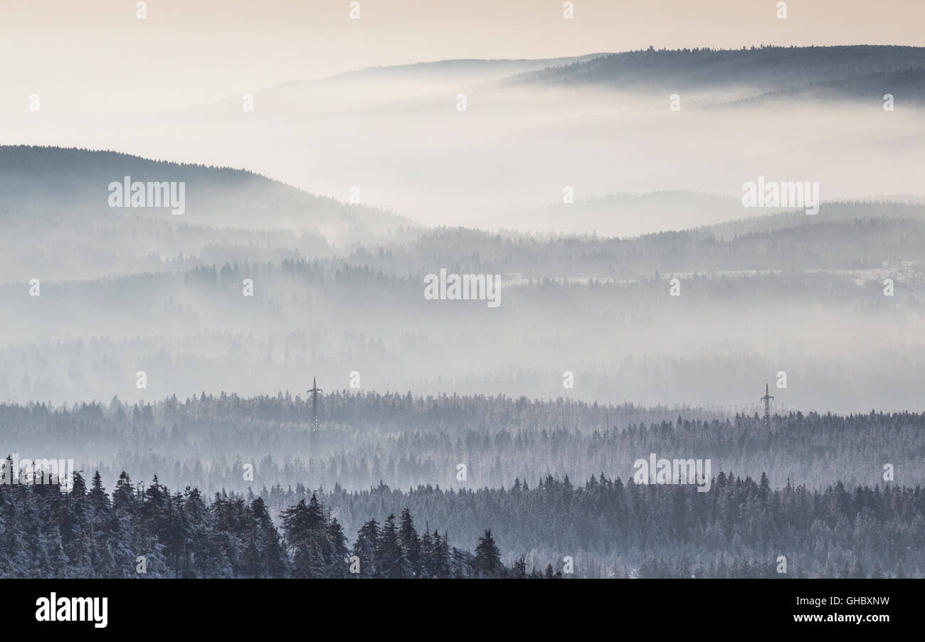 Geografia / viaggi, Germania, Sassonia-Anhalt, Parco Nazionale di Harz, nebbia oltre il parco Nazionale di Harz in inverno, Additional-Rights-Clearance-Info-Not-Available Foto Stock