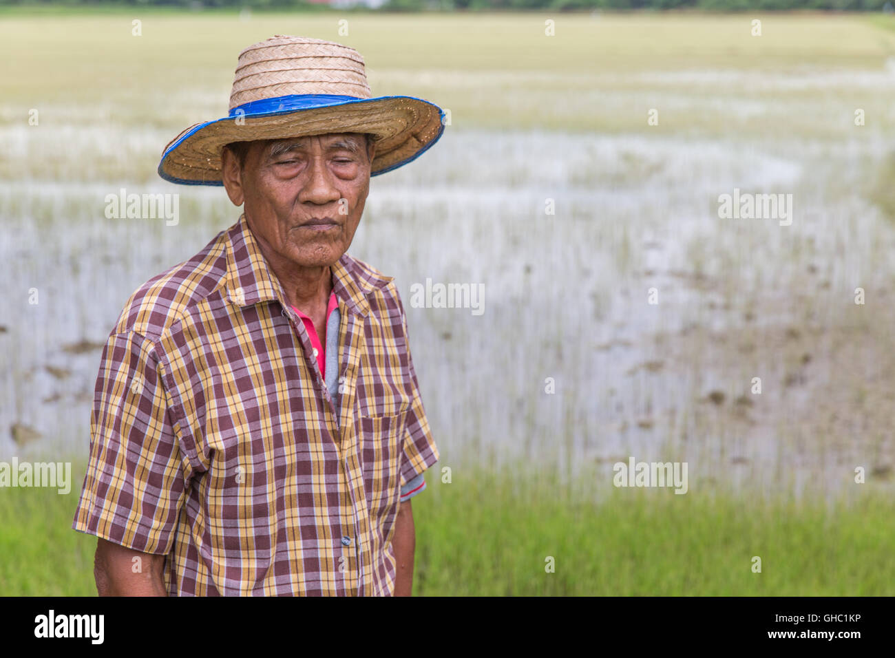 Senior riso tailandese contadino con gli occhi chiusi di fronte di riso paddy field Foto Stock