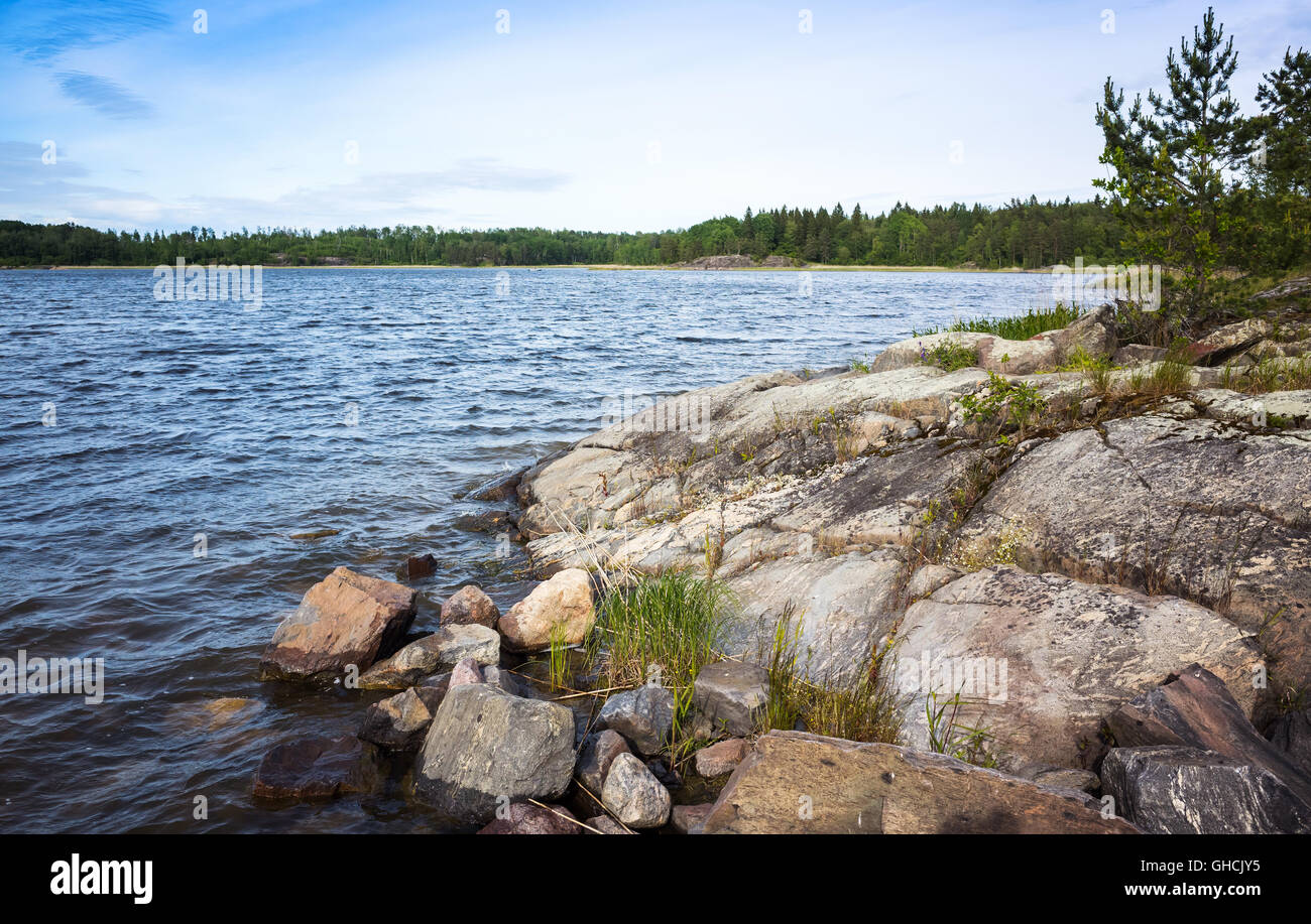 Il lago Ladoga paesaggio. Alberi di pino e crescere l'erba sulle rocce costiere in estate Foto Stock
