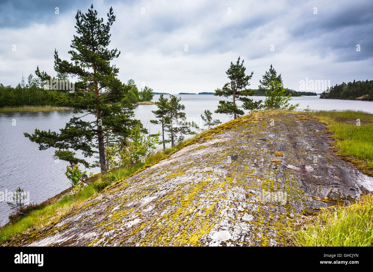 Il lago Ladoga paesaggio. Alberi di pino e di erba verde crescono sulle rocce costiere sotto il cielo nuvoloso scuro Foto Stock