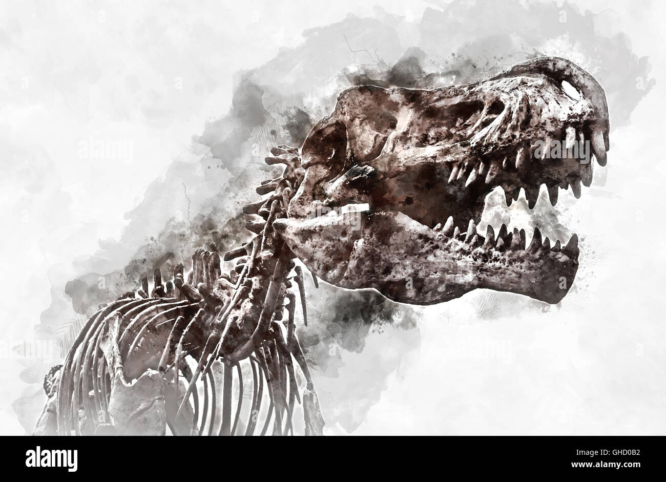 Digital pittura ad acquarello di un Tirannosauro Rex skeleton Foto Stock