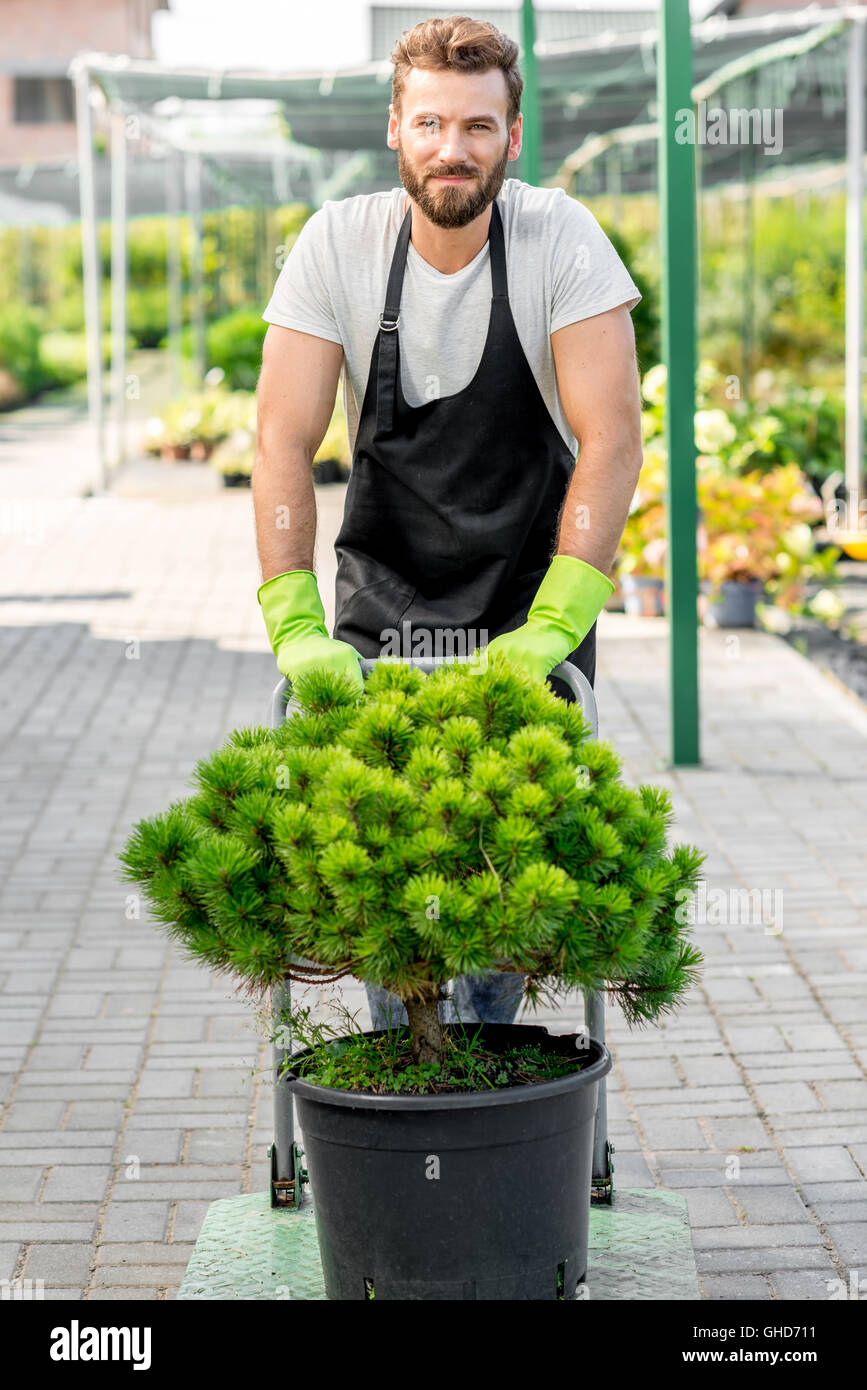 Consegna nel negozio di fiori Foto Stock