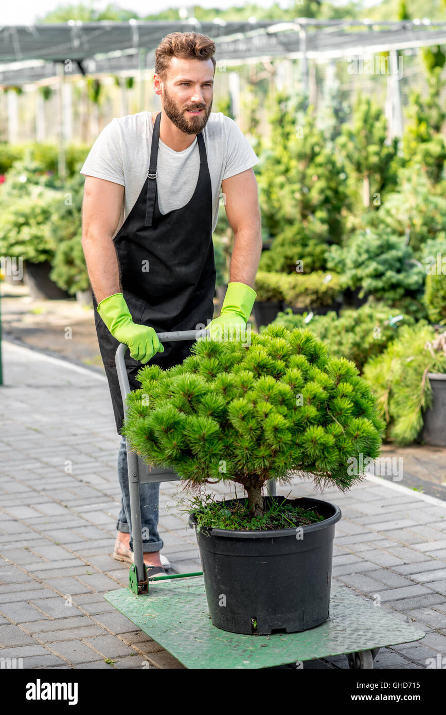Consegna nel negozio di fiori Foto Stock