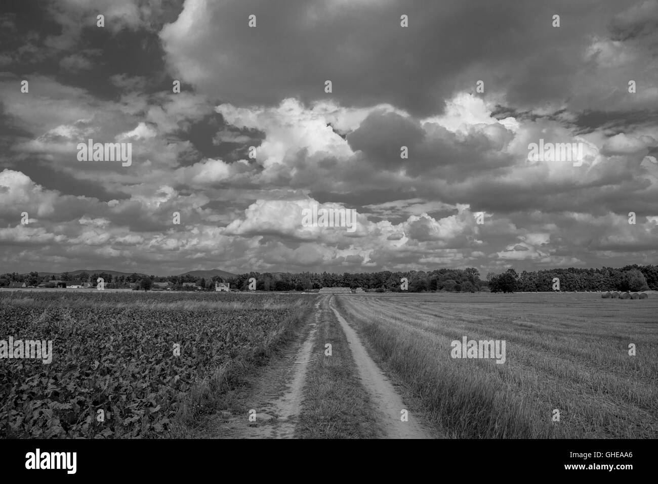 Sporcizia e dritta strada tra campi cielo nuvoloso Bassa Slesia Polonia Foto Stock