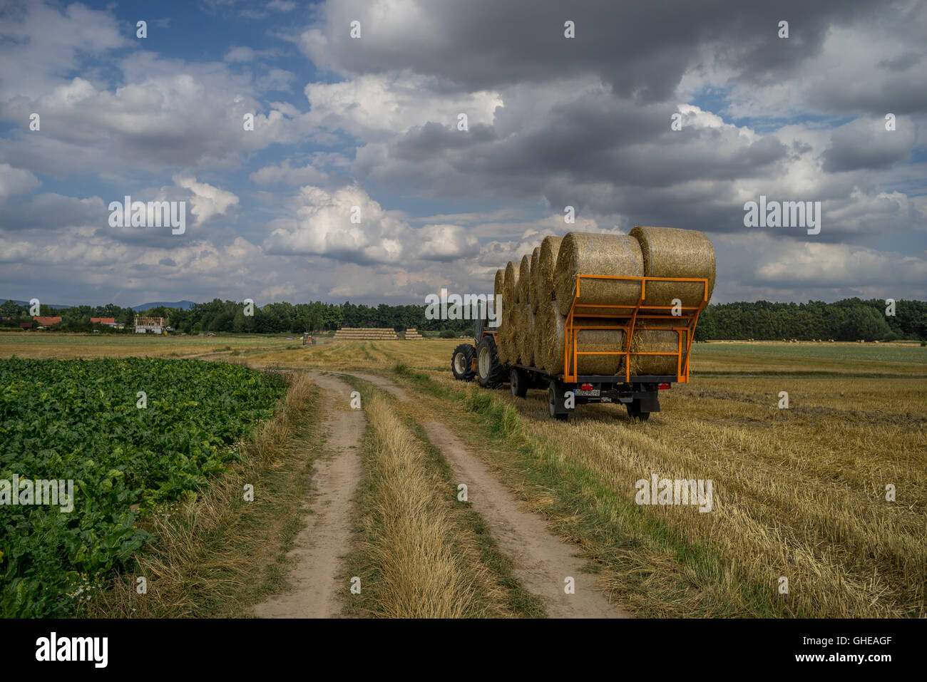 Strada sterrata tra i campi il trattore rimorchio pieno di balle di paglia cielo nuvoloso Bassa Slesia Polonia Foto Stock