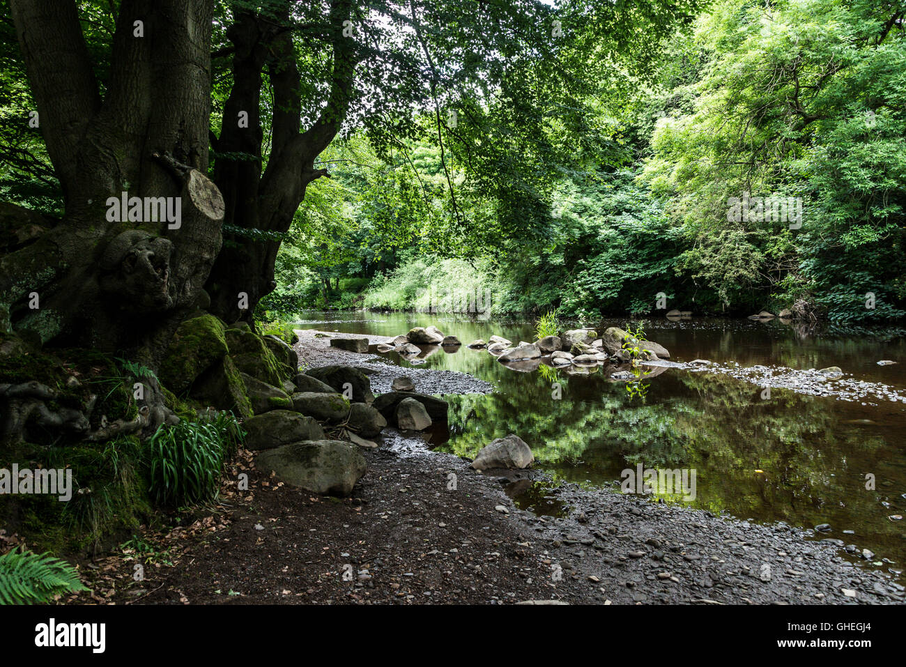 Rocce nel fiume di mandorla, Livingston, West Lothian, Scozia Foto Stock