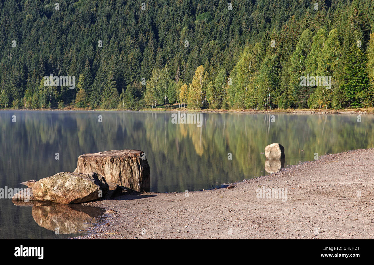 La riflessione di foresta nelle calme acque del lago Foto Stock
