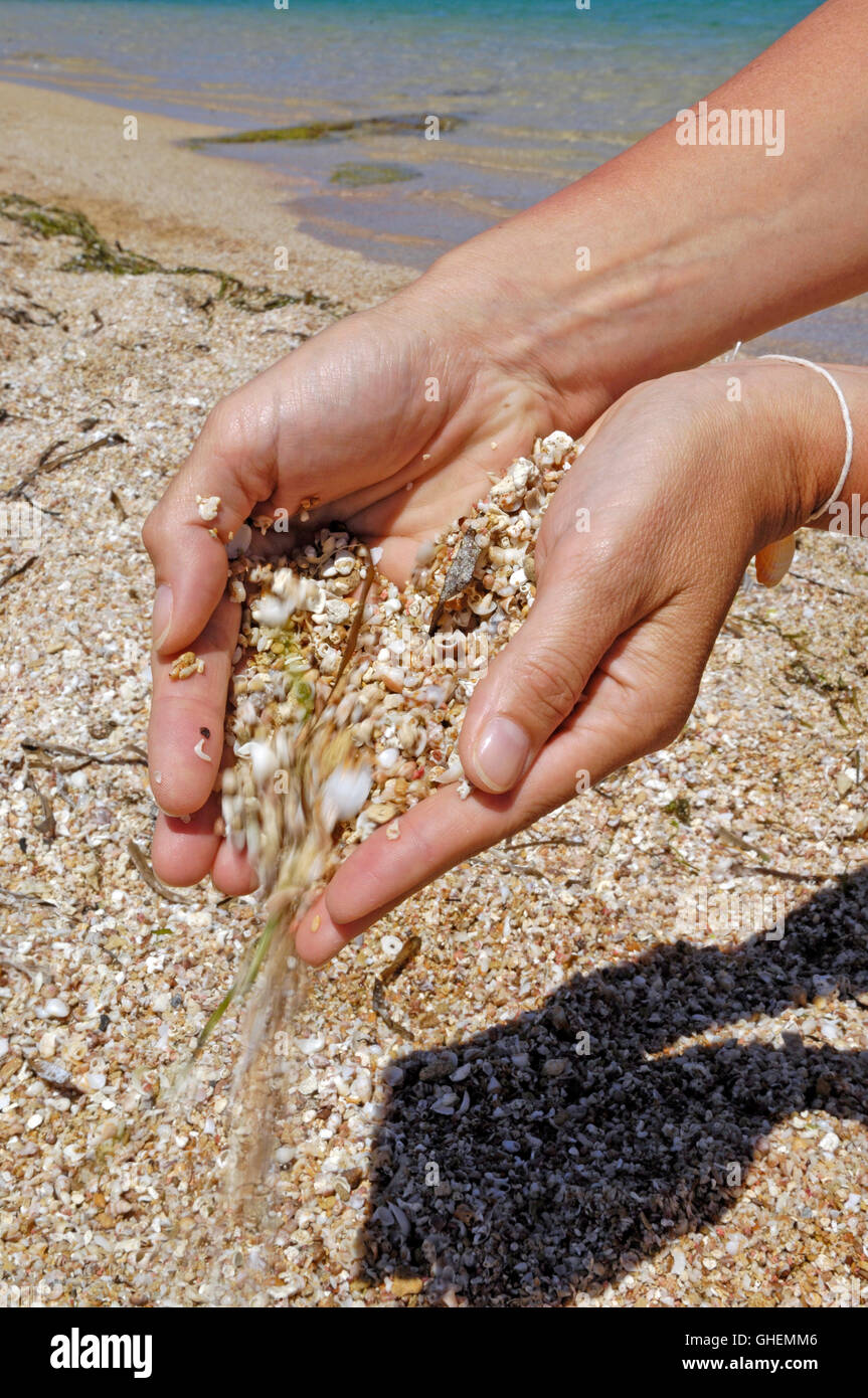 La sabbia e la shell, la spiaggia Sa Mesa Longa, distretto di Oristano, Sardegna, Italia, Europa Foto Stock