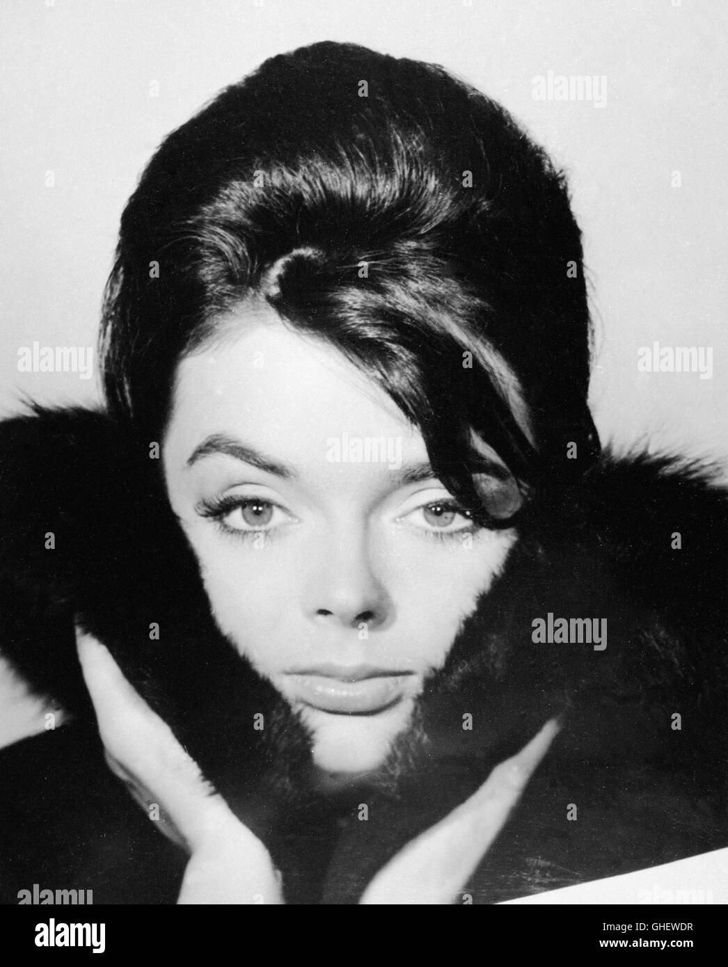 BARBARA STEELE (1960er) Foto Stock