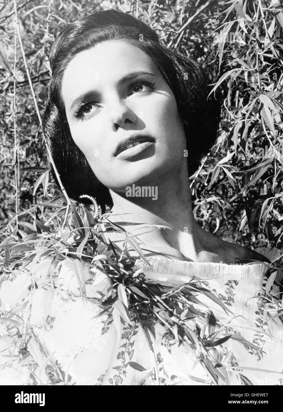 DANIELE GAUBERT (1960er) Foto Stock