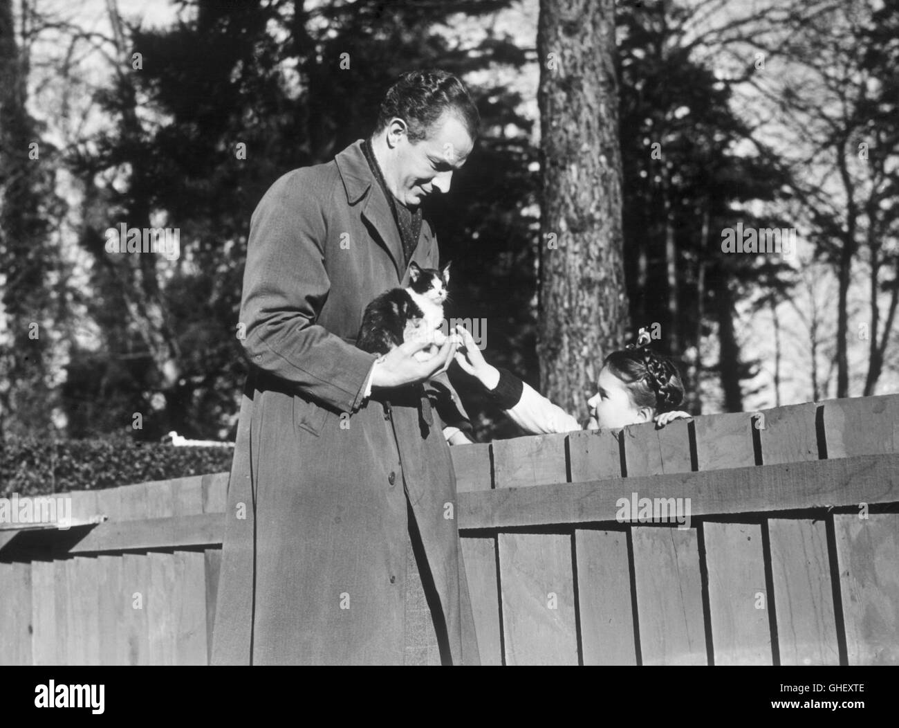 I piani rubati UK 1952 James Hill scena con Peter Burton (dott. Foster) con piccolo gatto. Regie: James Hill Foto Stock