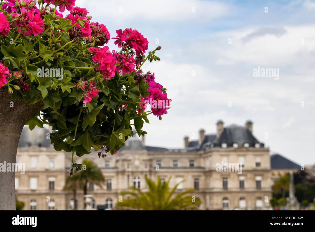 Close up fiore al Jardin de Luxembourg a Parigi Foto Stock