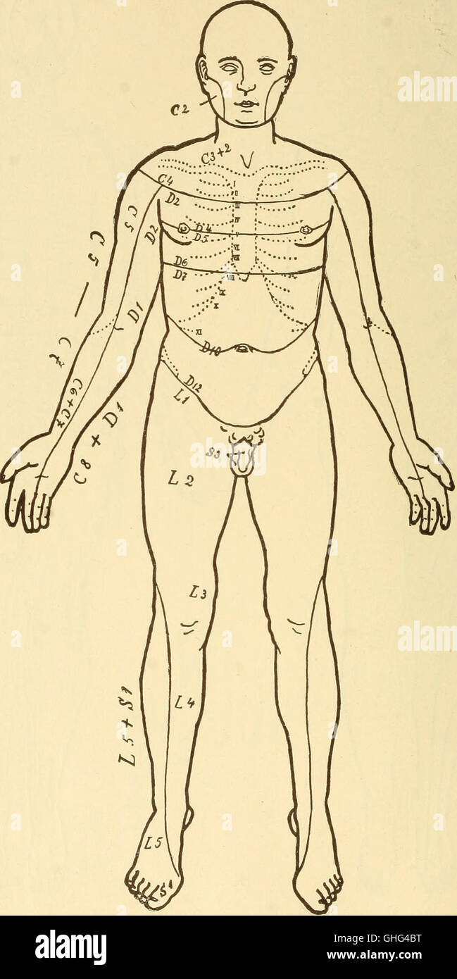Un testo medico del 1910 si è concentrato sulla diagnosi e il trattamento di varie malattie che colpiscono il sistema nervoso, offrendo approfondimenti sui disturbi neurologici. Foto Stock