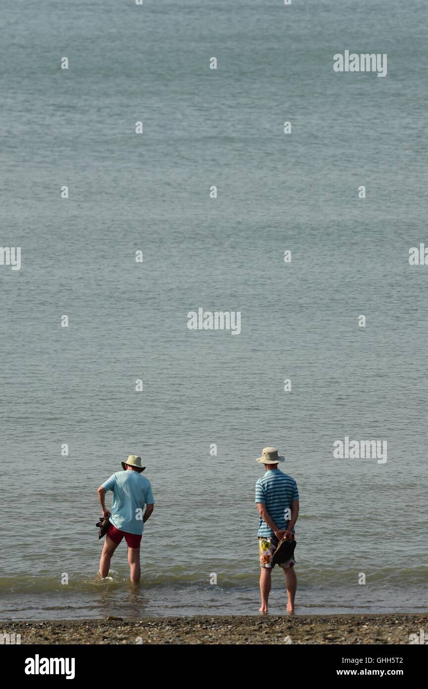 Aberystwyth Wales UK, mercoledì 14 settembre 2016 UK meteo: gente che si diverte nel caldo sole di Aberystwyth sulla West Wales coast. Il settembre 'mini calore-wave" continua, con il raggiungimento della temperatura di alta 20's sulle rive del Cardigan Bay Photo credit: Keith Morris / Alamy Live News Foto Stock