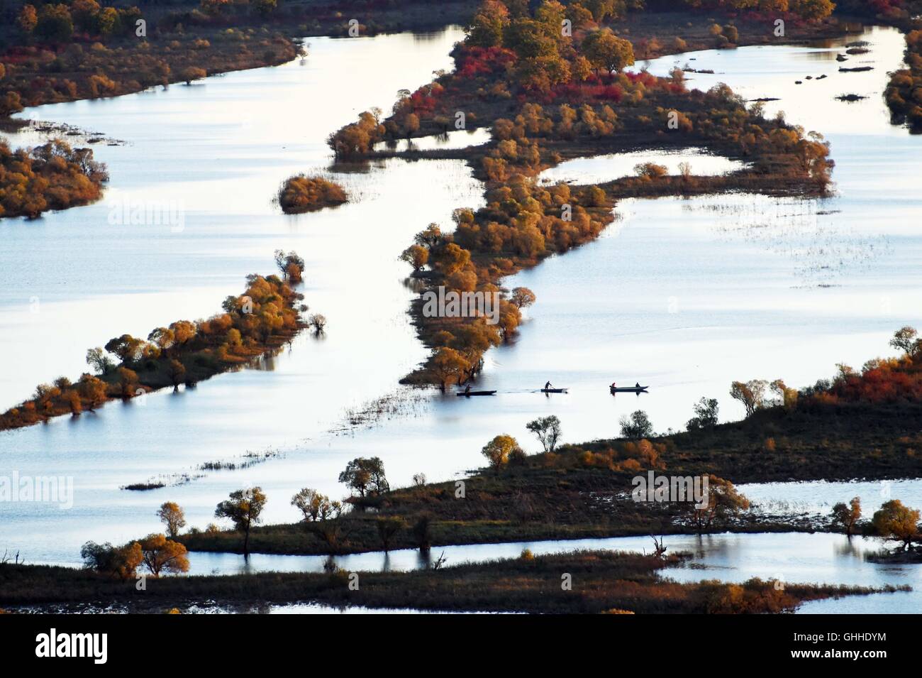 Hulin. 28 Sep, 2016. Foto scattata il 7 settembre 28, 2016 mostra il paesaggio dell'isola Zhenbao zone umide in Hulin, a nord-est della Cina di Heilongjiang provincia. Il 29,275 ettari di paludi è stato designato come zona umida di importanza internazionale dalla convenzione di Ramsar nel 2011 per la sua vitale importanza come una unica zona umida per la diversità biologica. © Wang Jianwei/Xinhua/Alamy Live News Foto Stock