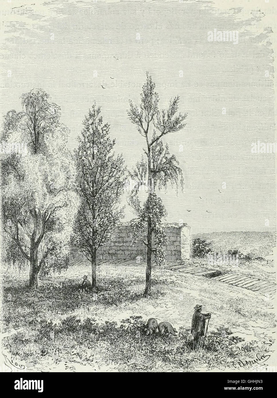 *América Pintoresca* (1884) fornisce una vivida descrizione dei viaggi attraverso il nuovo mondo da parte degli esploratori moderni, offrendo una visione dei paesaggi, delle culture e delle società incontrate durante i loro viaggi. Foto Stock