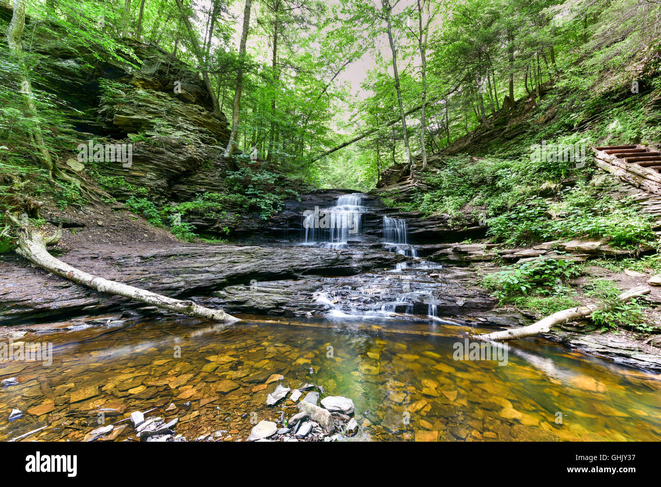 Cascata in Ricketts Glen State Park, Pennsylvania. Foto Stock