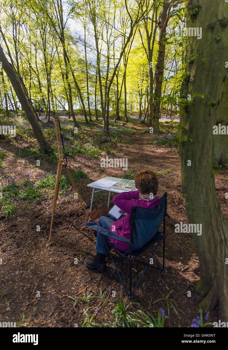 La pittura di bosco Foto Stock