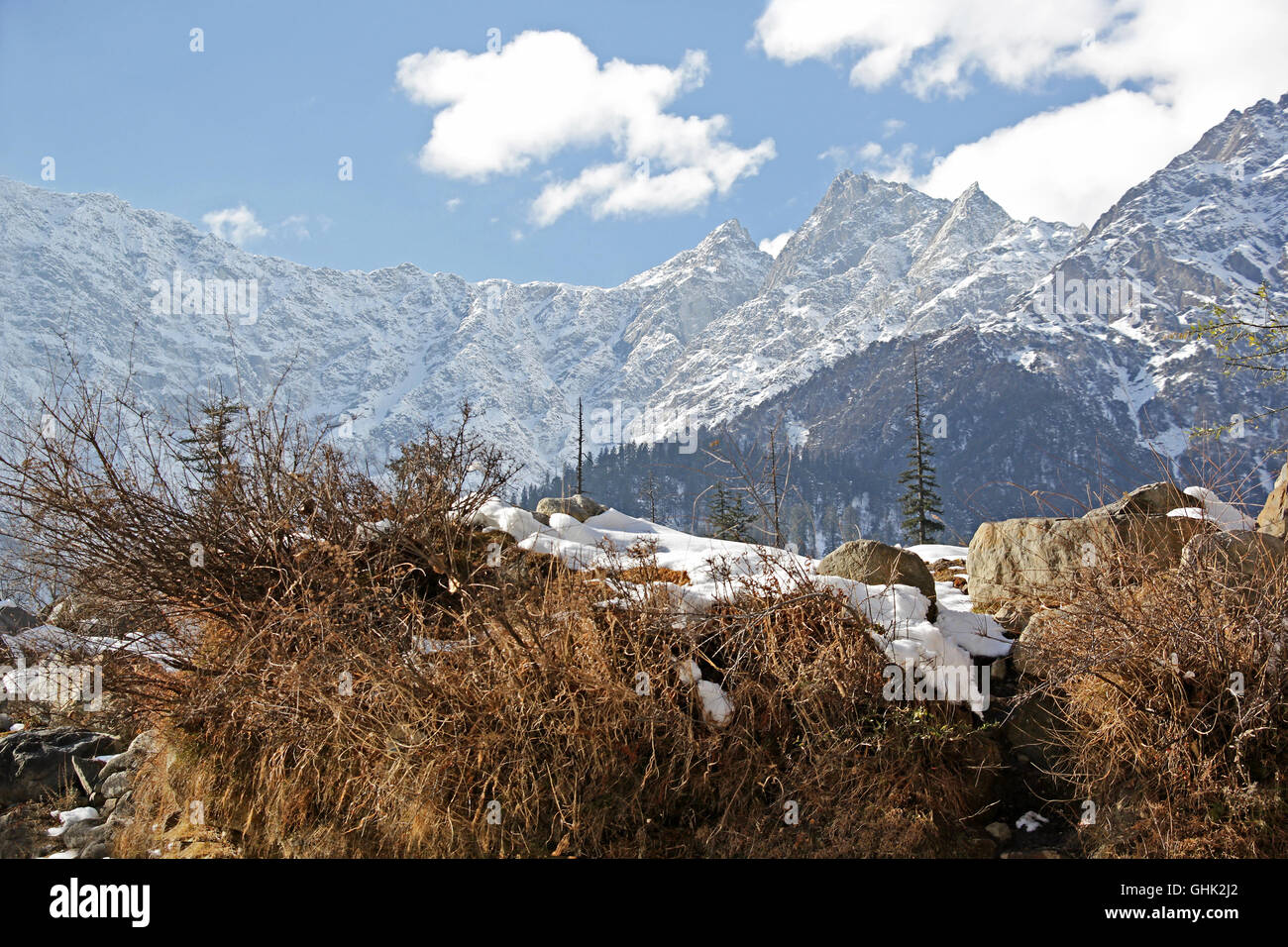 L'Himalayan secco paesaggio invernale con cime coperte di neve e cespugli a secco vicino a Manali, India. Foto Stock