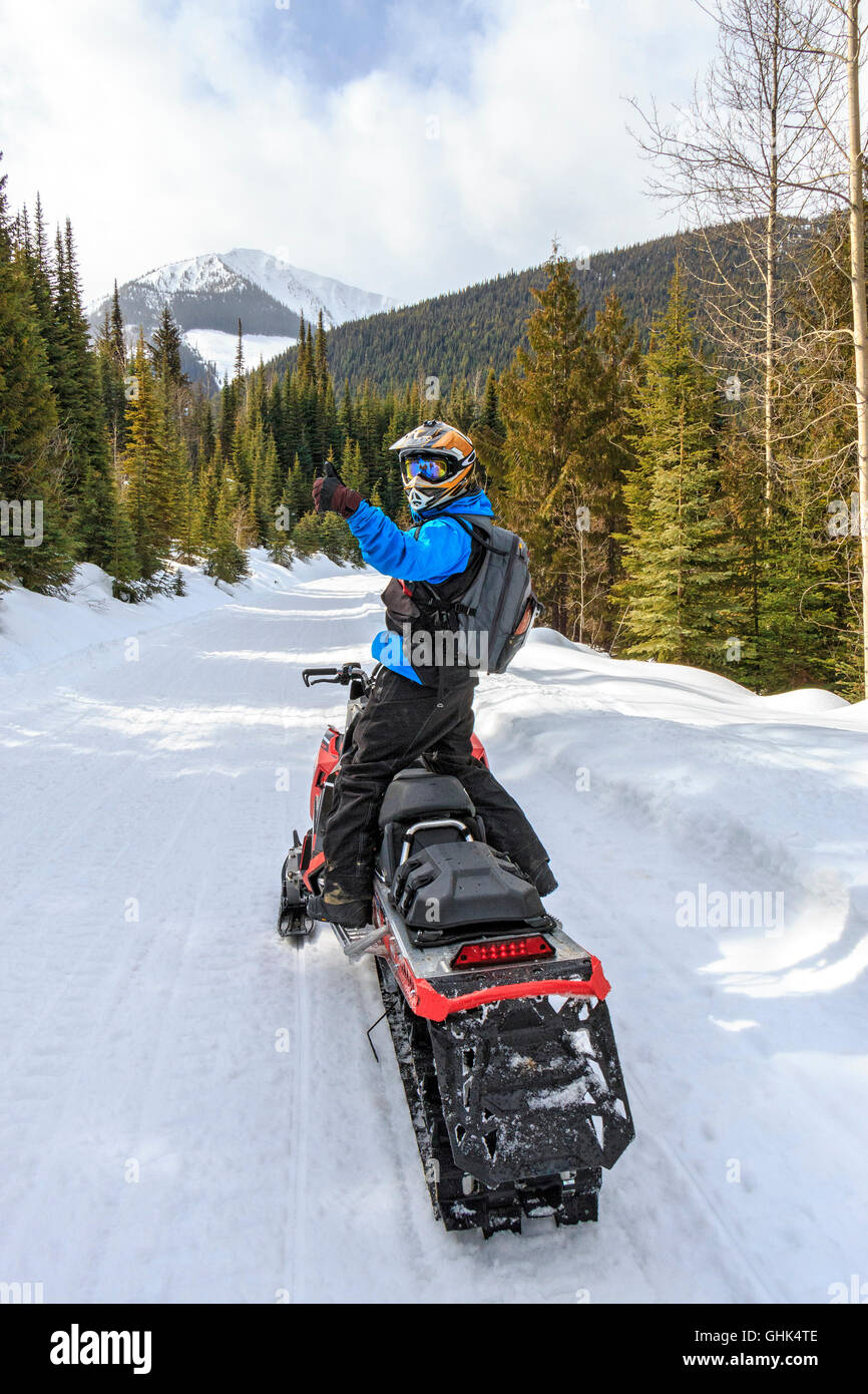 Avendo divertimento mentre le motoslitte in Purcell le montagne vicino al Golden, BC Foto Stock