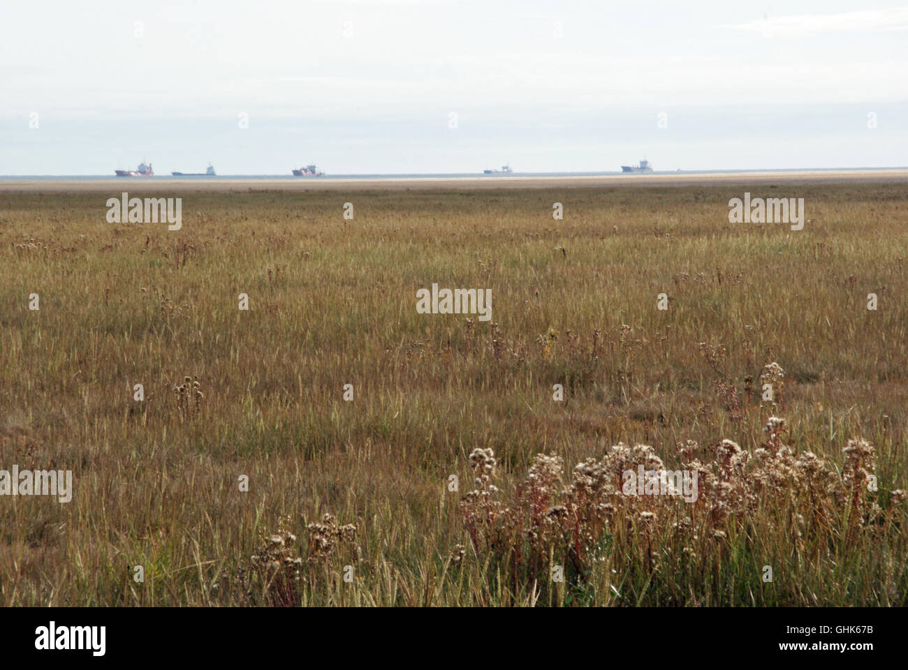 Lincolnshire salt marsh, Cleethorpes Foto Stock