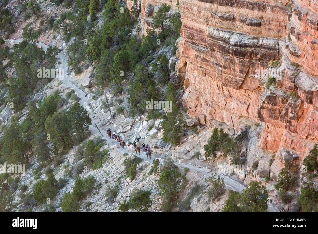 Parco Nazionale del Grand Canyon, Arizona - un sentiero equipaggio, imballaggio attrezzature a un sito di lavoro sulla South Kaibab Trail. Foto Stock