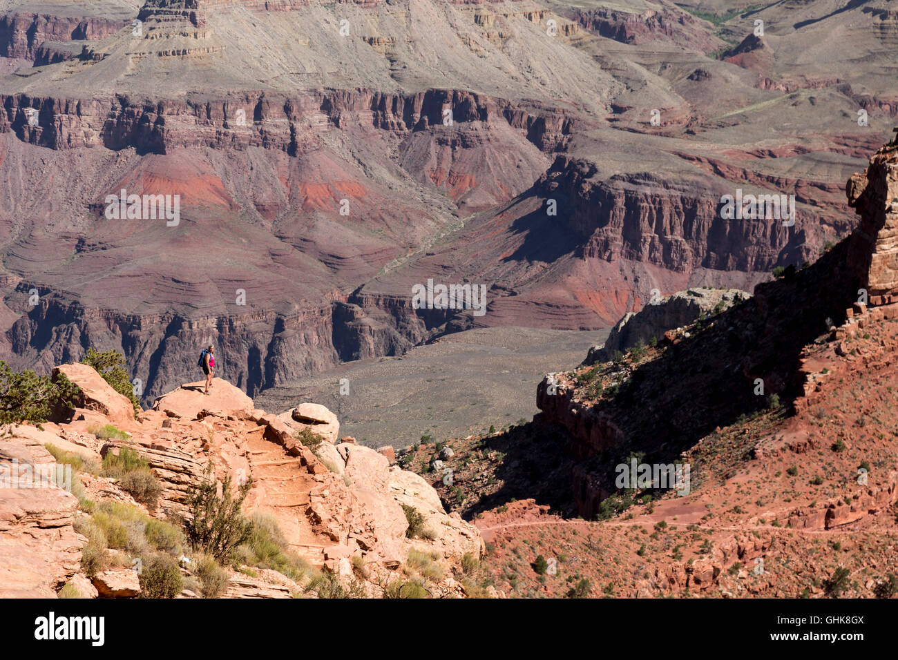 Parco Nazionale del Grand Canyon, Arizona - un escursionista sul South Kaibab Trail. Foto Stock