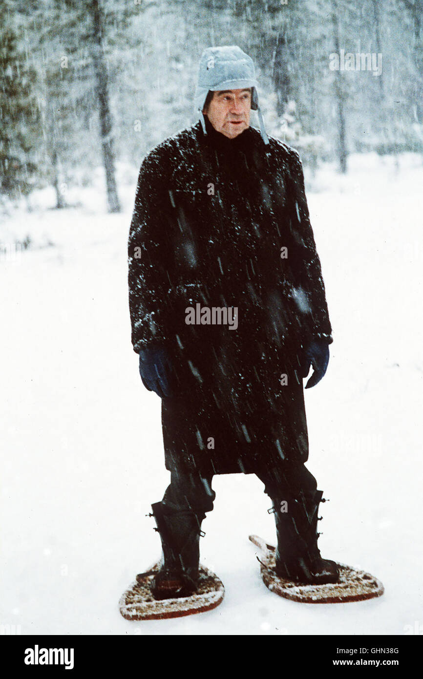 Die Überlebenskünstler Sonny (Walter Matthau) und Donald werden Zeugen eines Überfalls - und damit potientelle Opfer des gangster Jack, der zwar verhaftet wird, doch kurz darauf wieder auf freien Fuß kommt. Sonny Während sich mit Jack zu arrangieren versucht, Donald den erledigen gangster. Er deckt sich mit Waffen ein... Regie: Michael Ritchie aka. I sopravvissuti Foto Stock