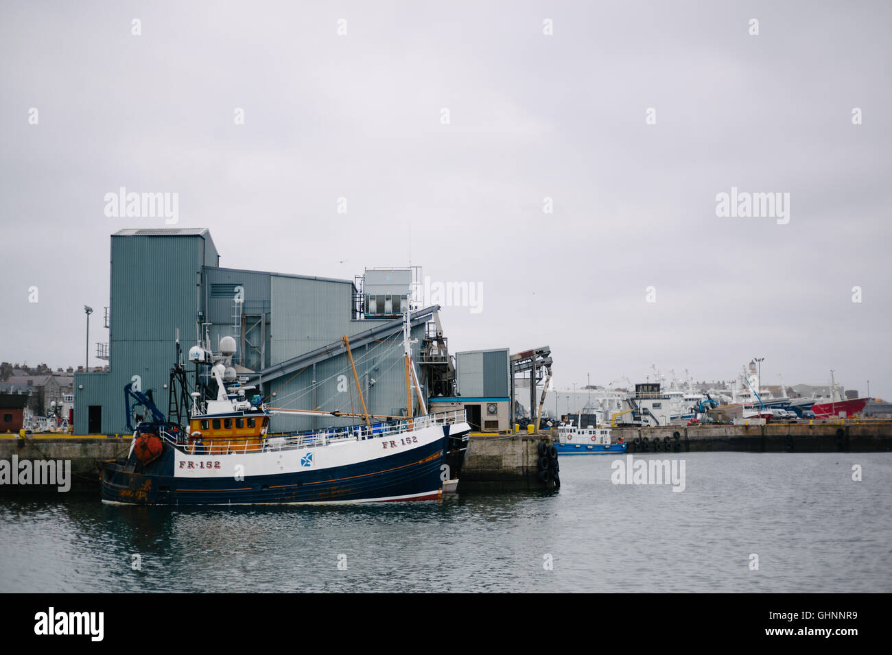 Barche da pesca, pescherecci da traino del Mare del Nord nel porto di Fraserburgh. Foto Stock