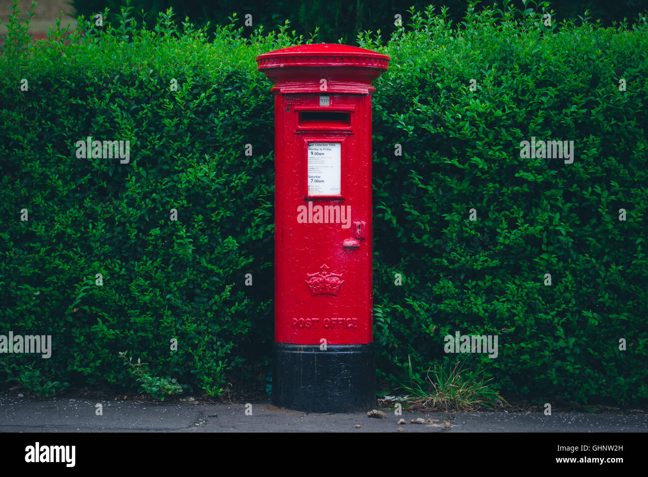 Red post box e siepe verde. Foto Stock