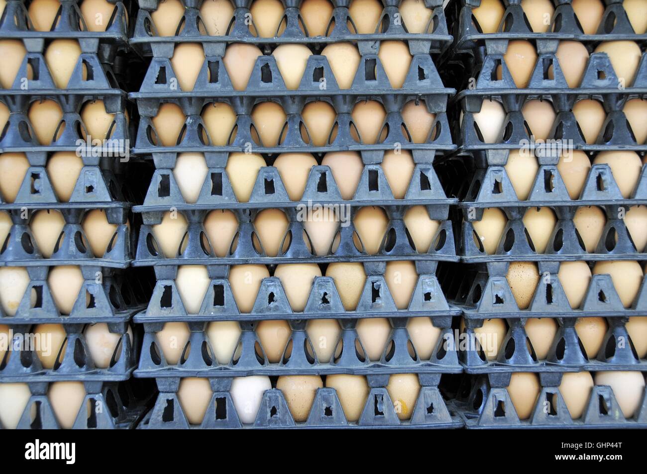 Eier, Thailandia, Asien Foto Stock