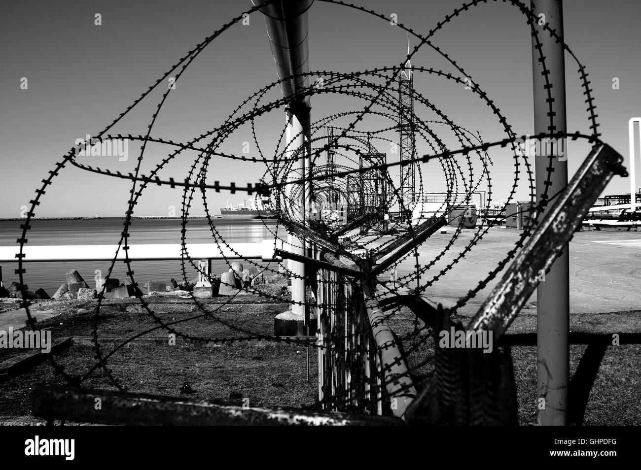 Filo Spinato Finto 2 Pezzi 240cm - Decorazione Halloween Argento - Foto 3