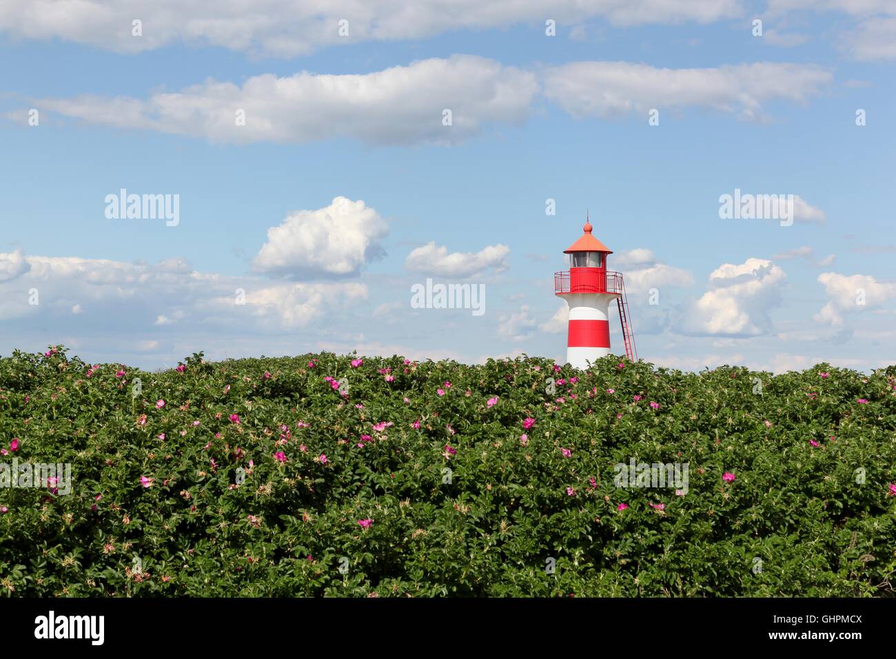 Il faro di Oddesund in Danimarca Foto Stock