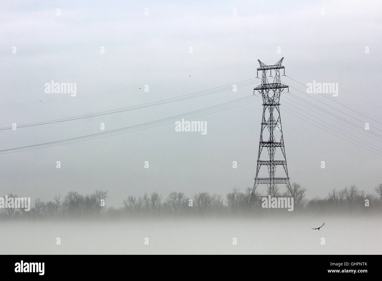 Linea di alimentazione alta in FOG Foto Stock