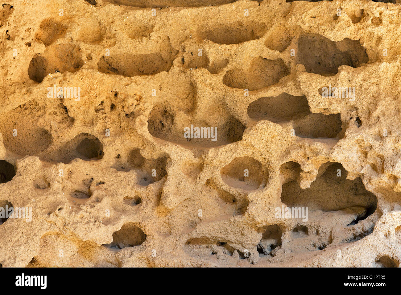 Pieno di fori del mare sullo sfondo di pietra closeup Foto Stock