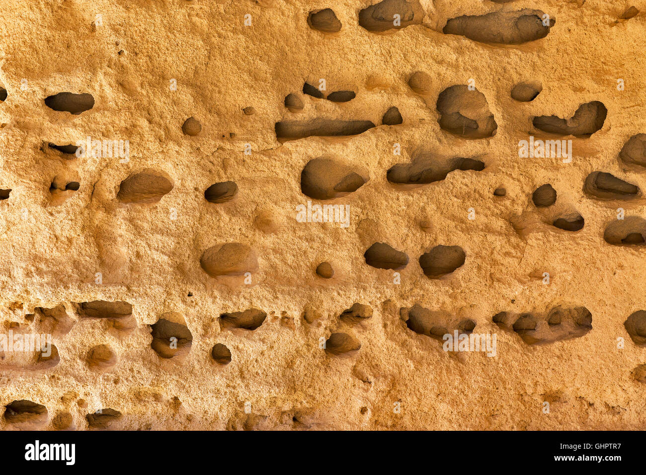 Pieno di fori del mare sullo sfondo di pietra closeup Foto Stock