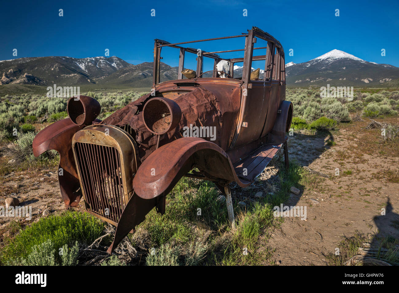 Abbandonato rovello di automobile arrugginito, cranio di mucca all'interno, nella valle di Snake, vicino al parco nazionale di Great Basin e alla città di Baker, Nevada, Stati Uniti Foto Stock