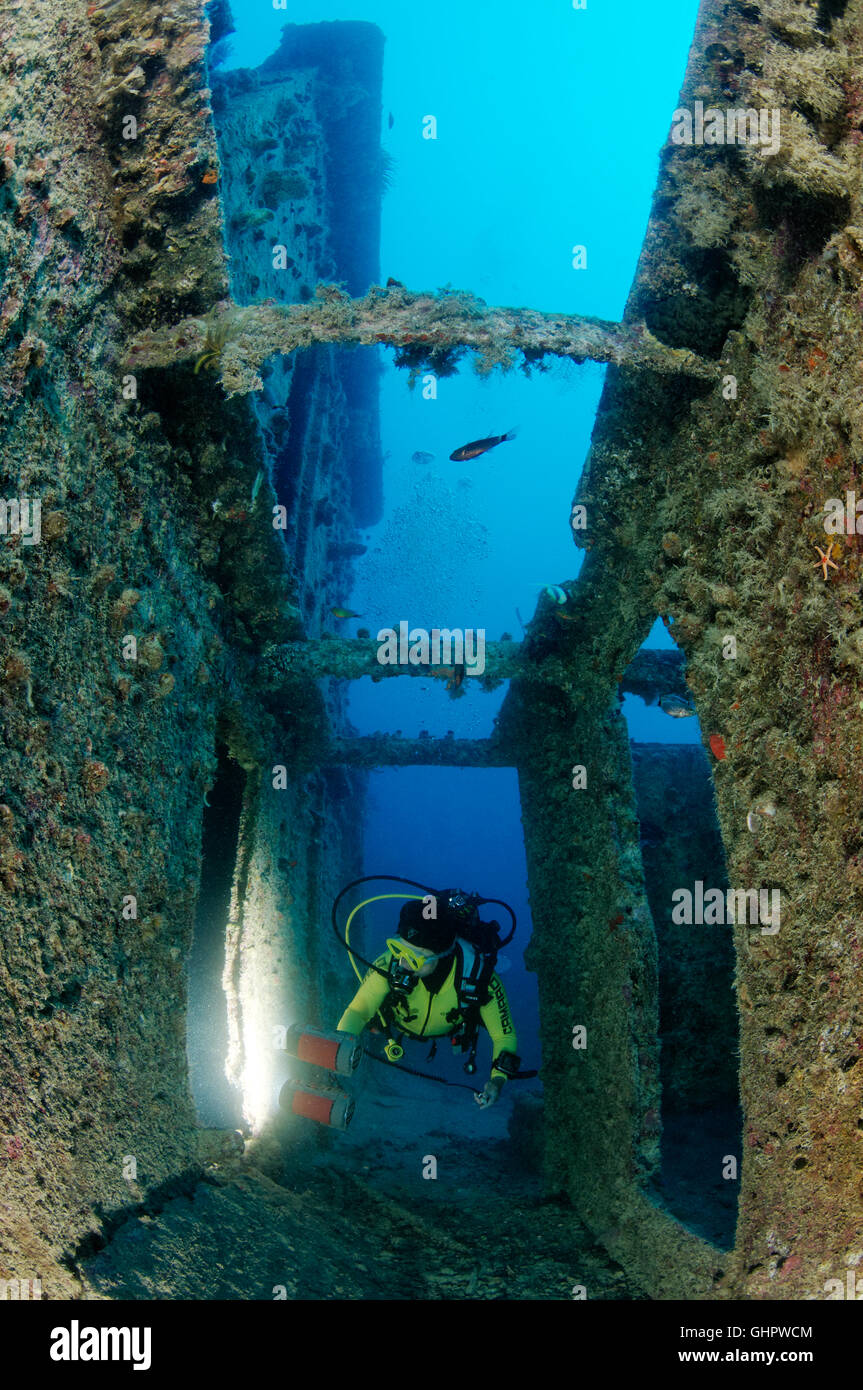 Naufragio Rosalie Moller e scuba diver all'interno del relitto della nave, Rosalie Moller, relitto, Mar Rosso, Egitto, Africa Foto Stock