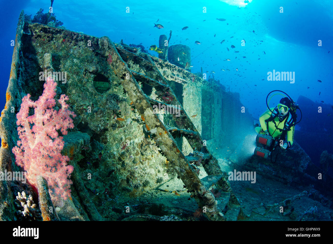 Naufragio SS Thistlegorm, subacqueo in immersione sul relitto della nave, relitto Thistlegorm, Mar Rosso, Egitto, Africa Foto Stock