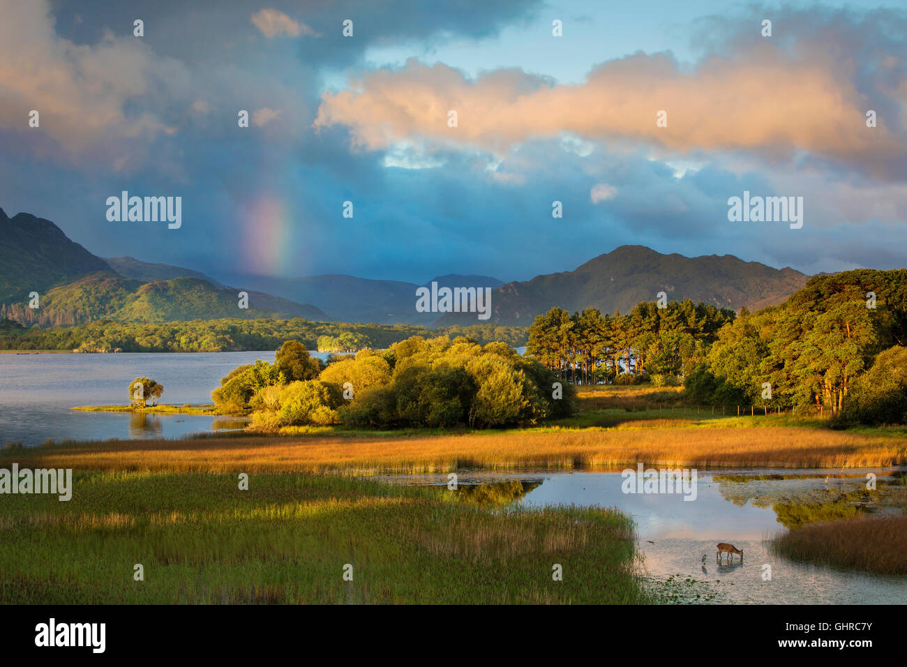 Alba vista sul Lough magra, Parco Nazionale di Killarney, nella contea di Kerry, Repubblica di Irlanda Foto Stock