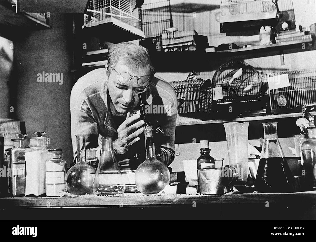 Birdman of Alcatraz Der Film erzählt die Geschichte eines Doppelmörders, der sich während circuizione 53jährigen Haftzeit charakterlich wandelt und sich zu einem Experten der Vogelkunde entwickelt ... In der Hauptrolle: BURT LANCASTER als Robert Stroud. Regie: John Frankenheimer aka. Birdman of Alcatraz Foto Stock