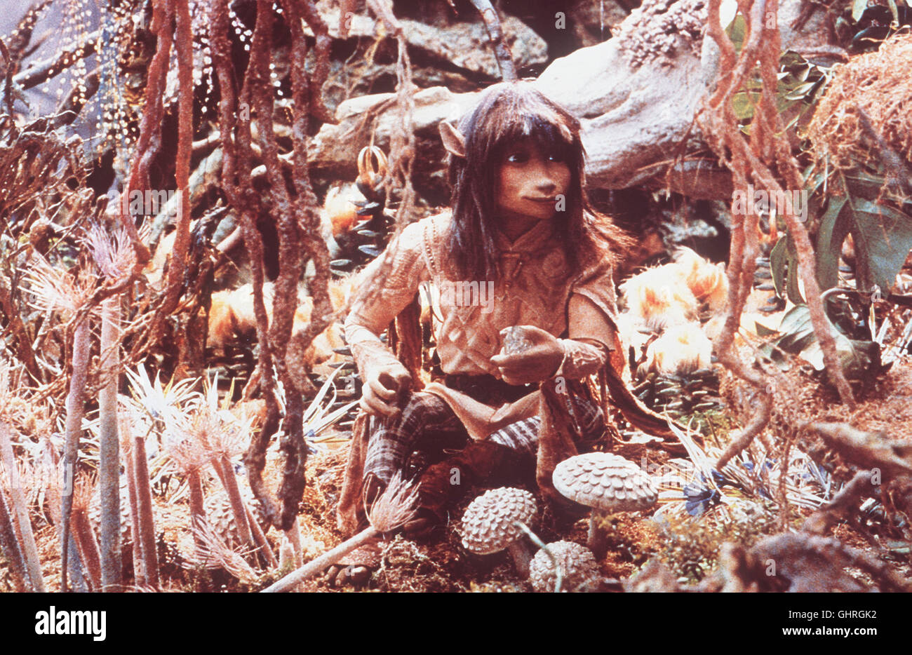 DER DUNKLE KRISTALL - Seitdem die Skeksis über die Macht des schwarzen Kristalls verfügen, verbreiten sie auf Thaa Angst und Schrecken. Nur der Gelfling Jen kann den Planeten vor dieser Gewaltherrschaft retten. SZENE Regie: Jim Henson, Frank Oz aka. Dark Crystal Foto Stock