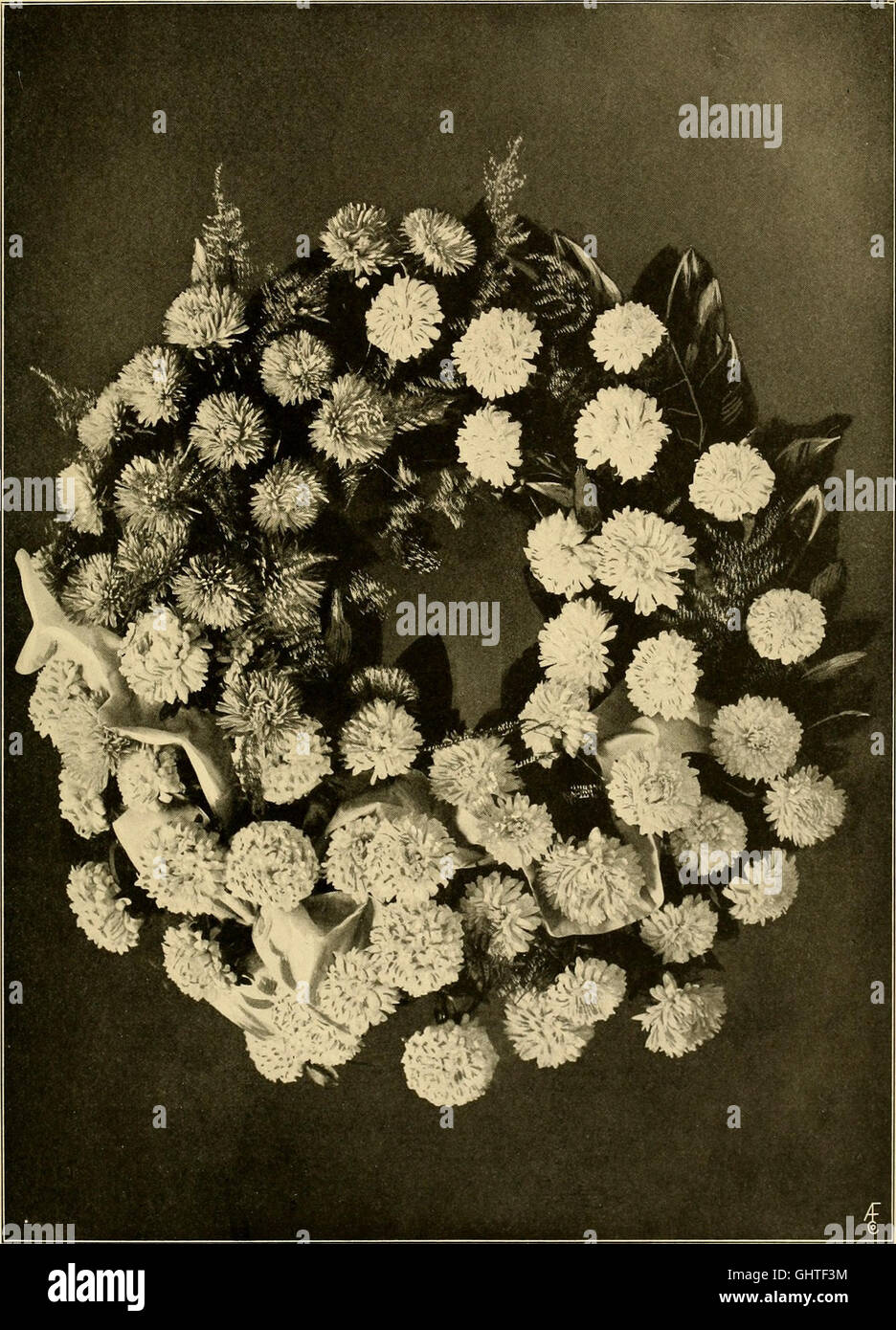 Il fiorista americano - un giornale settimanale per il commercio (1915) Foto Stock