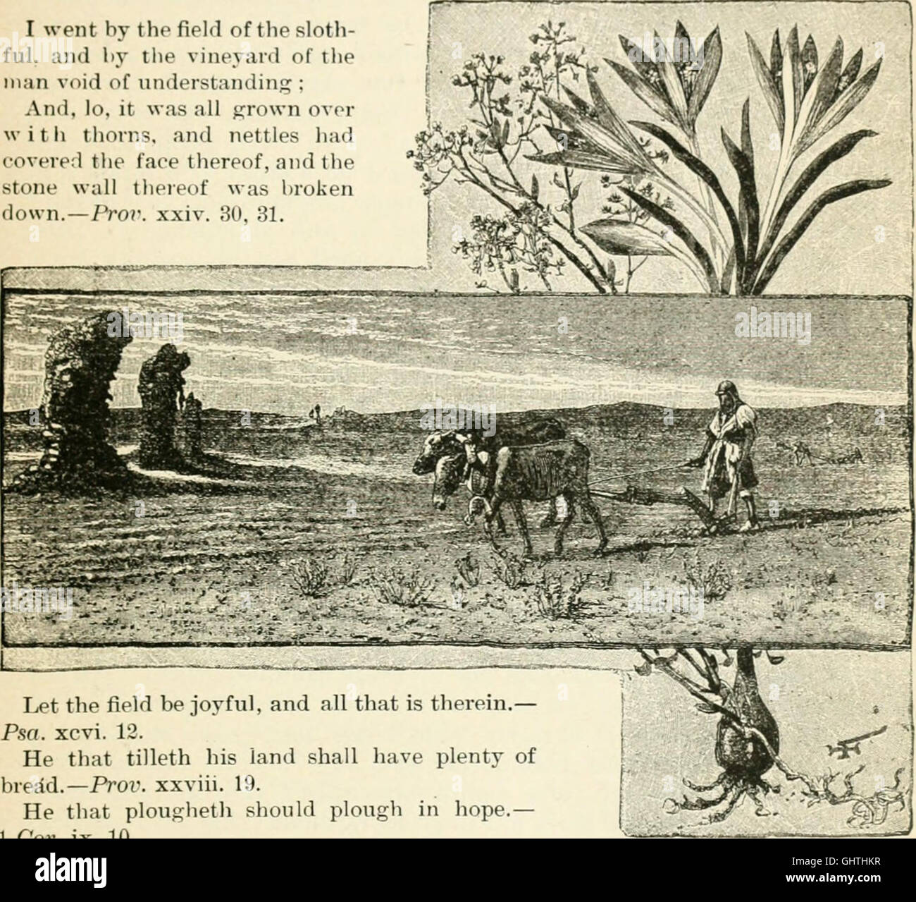 La Terra Santa e la Bibbia; (1888) Foto Stock