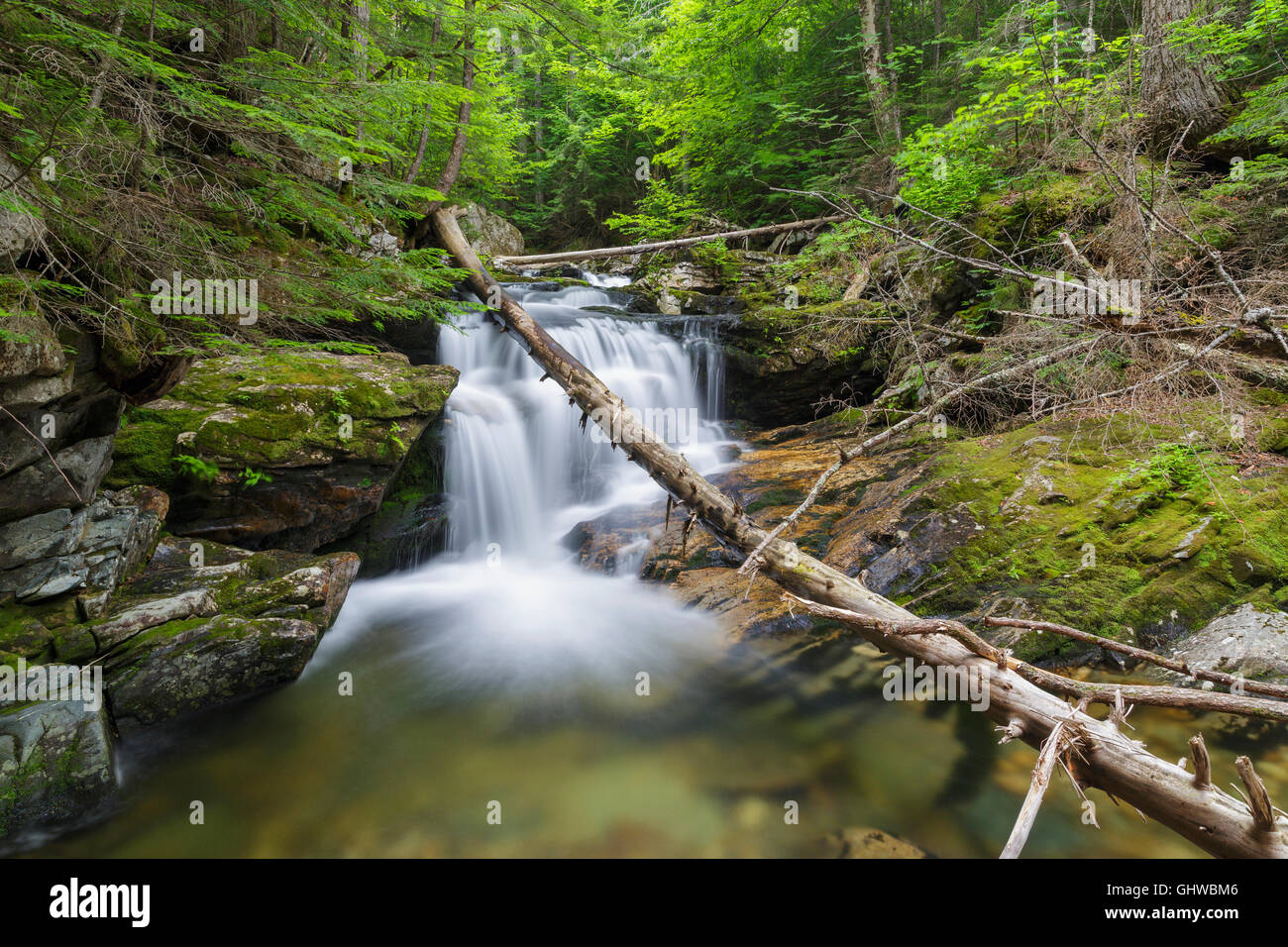 Cascata lungo il ruscello a freddo in Randolph, New Hampshire durante i mesi estivi. Foto Stock