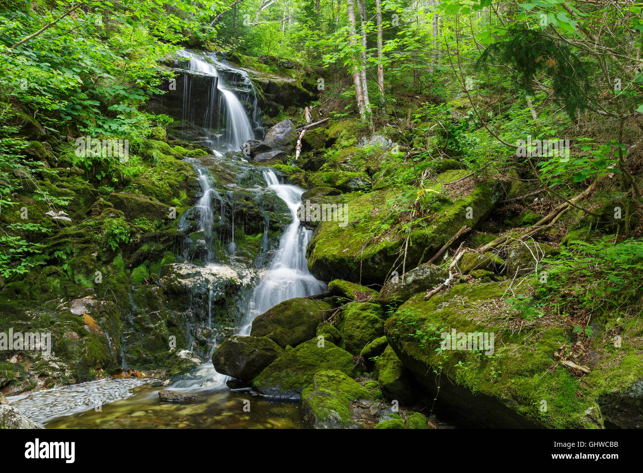 Canyon cadere lungo sperone Brook in basso e Burbank la concessione, New Hampshire durante i mesi estivi. Foto Stock